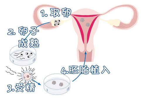 温馨医疗环境